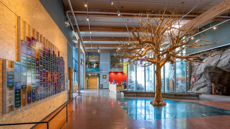 Turtle Bay Exploration Park featuring interior views