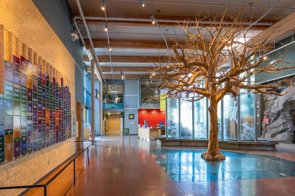 A museum interior with a large tree sculpture, informational plaques, and a red sign for the Turtle Bay Museum.