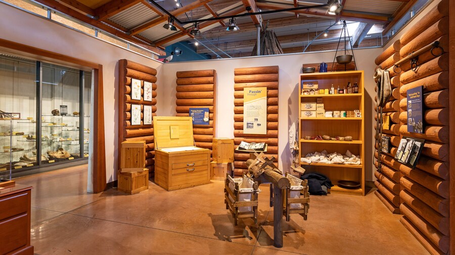 Turtle Bay Exploration Park