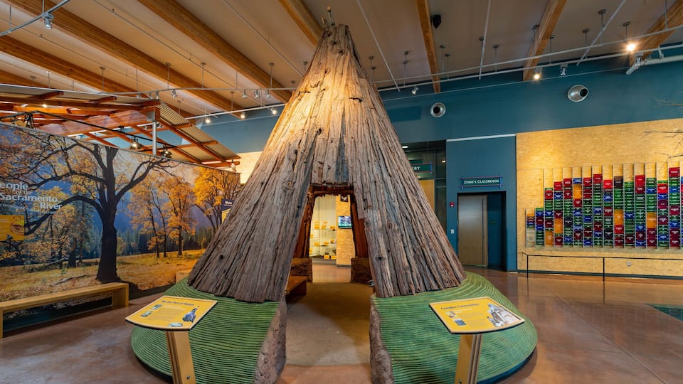 Turtle Bay Exploration Park