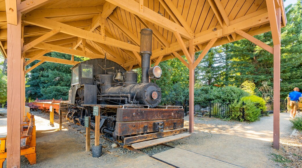 Turtle Bay Exploration Park