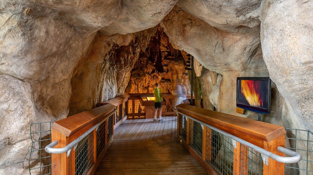 Turtle Bay Exploration Park