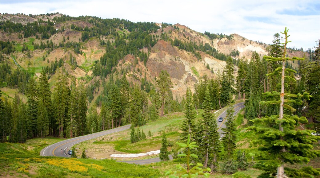 Mill Creek que incluye montañas y escenas tranquilas