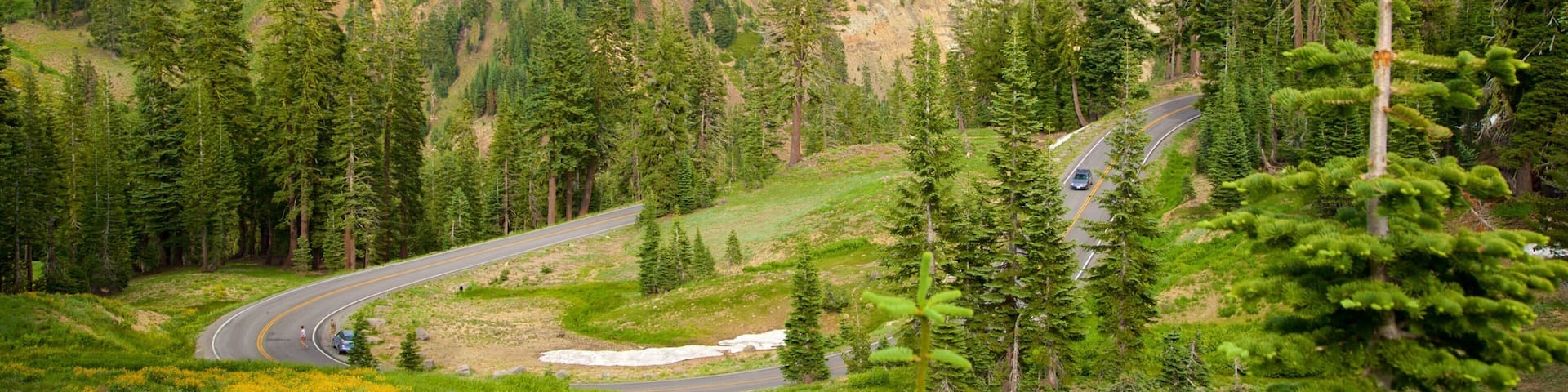Mill Creek featuring mountains and tranquil scenes
