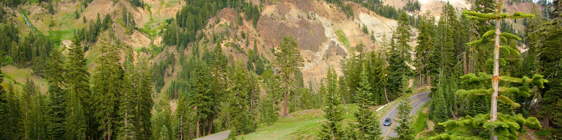 Mill Creek mettant en vedette scènes tranquilles et montagnes