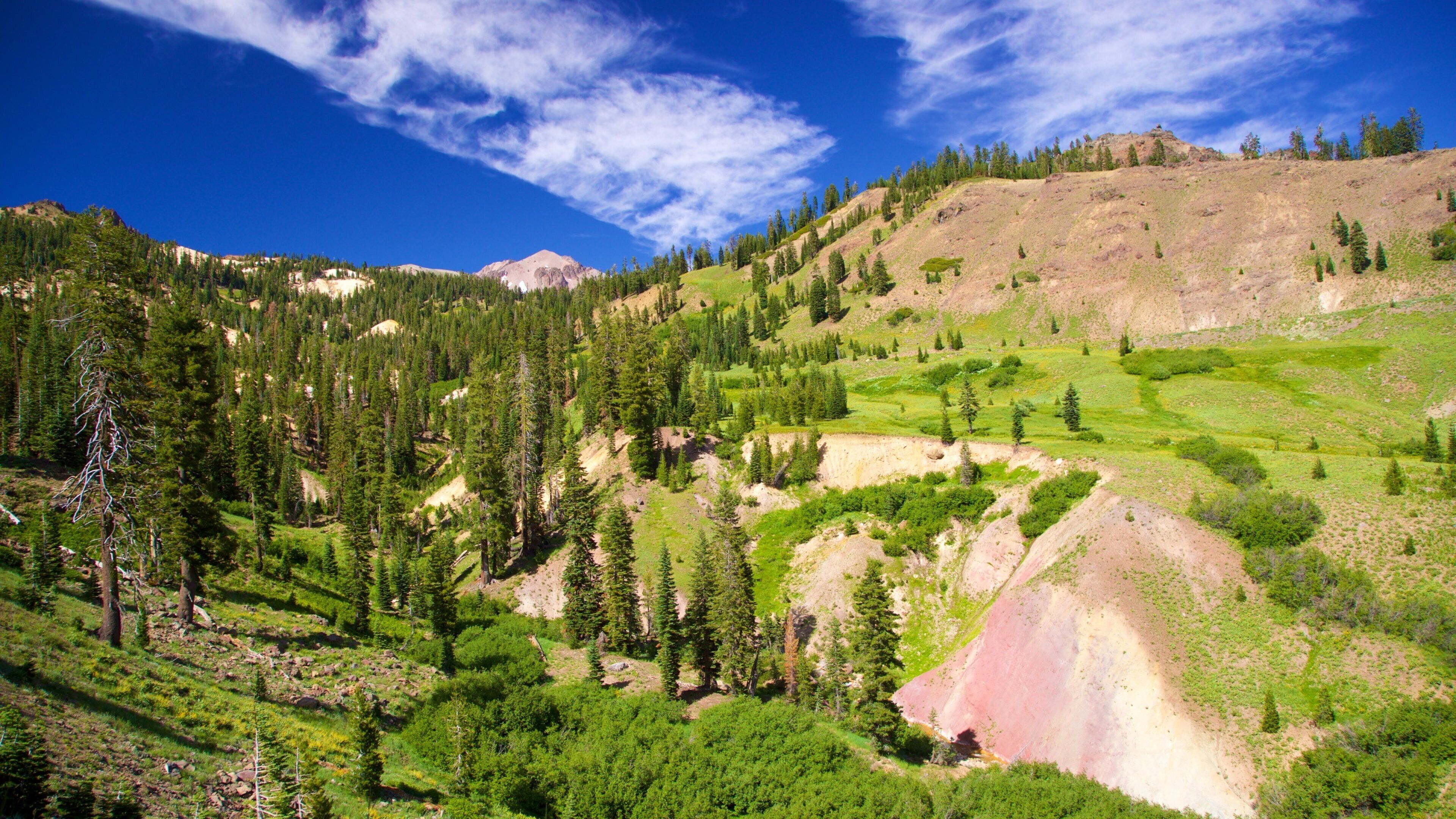 Northern Interior California featuring tranquil scenes and landscape views