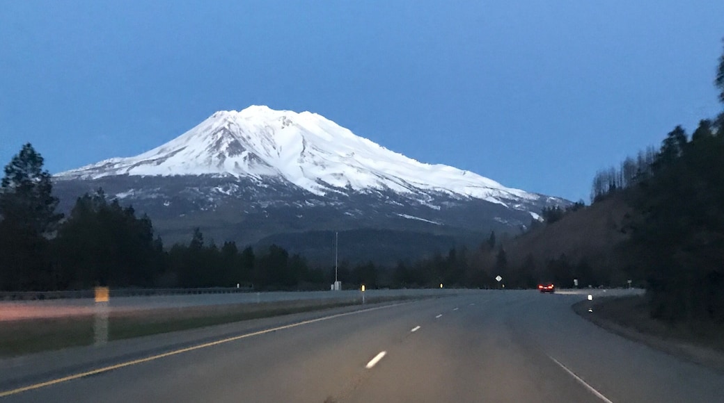 Wow Silicon Valley can wait for the morning I think. This evening we'll sleep at the base of Mt. Shasta and wait for one hell of a sunrise ;-)