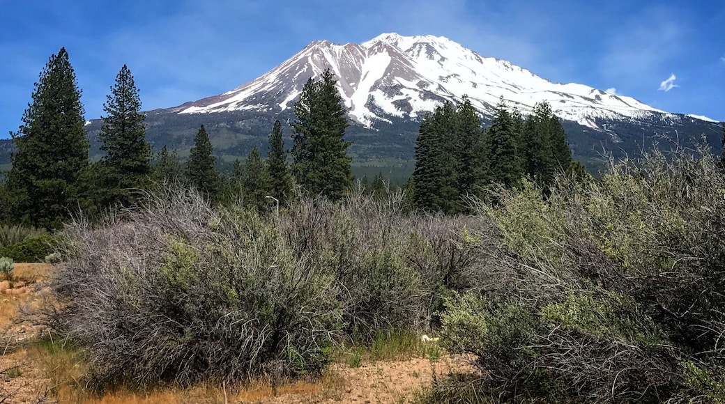 I couldn't stop staring at it through our drive north of California #beautiful #mountshasta #volcano