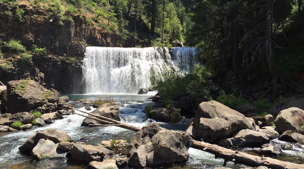 Mc Arthur middle water falls in Mt Shasta,CA