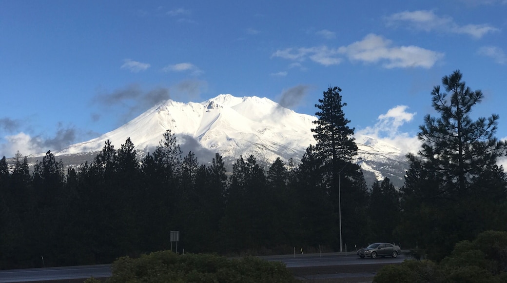 Drive by of Mount Shasta! #winterwonders
