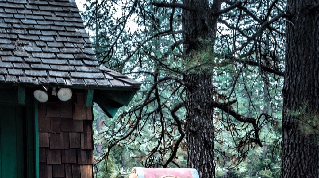 Love the antiques of yesteryears!