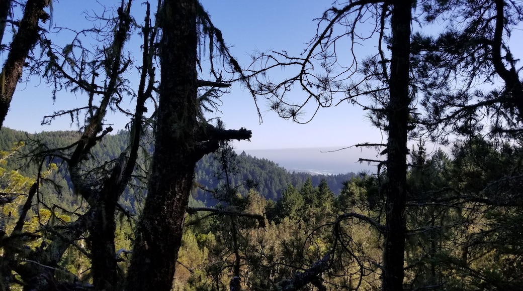 Secret trail with a stunning view!