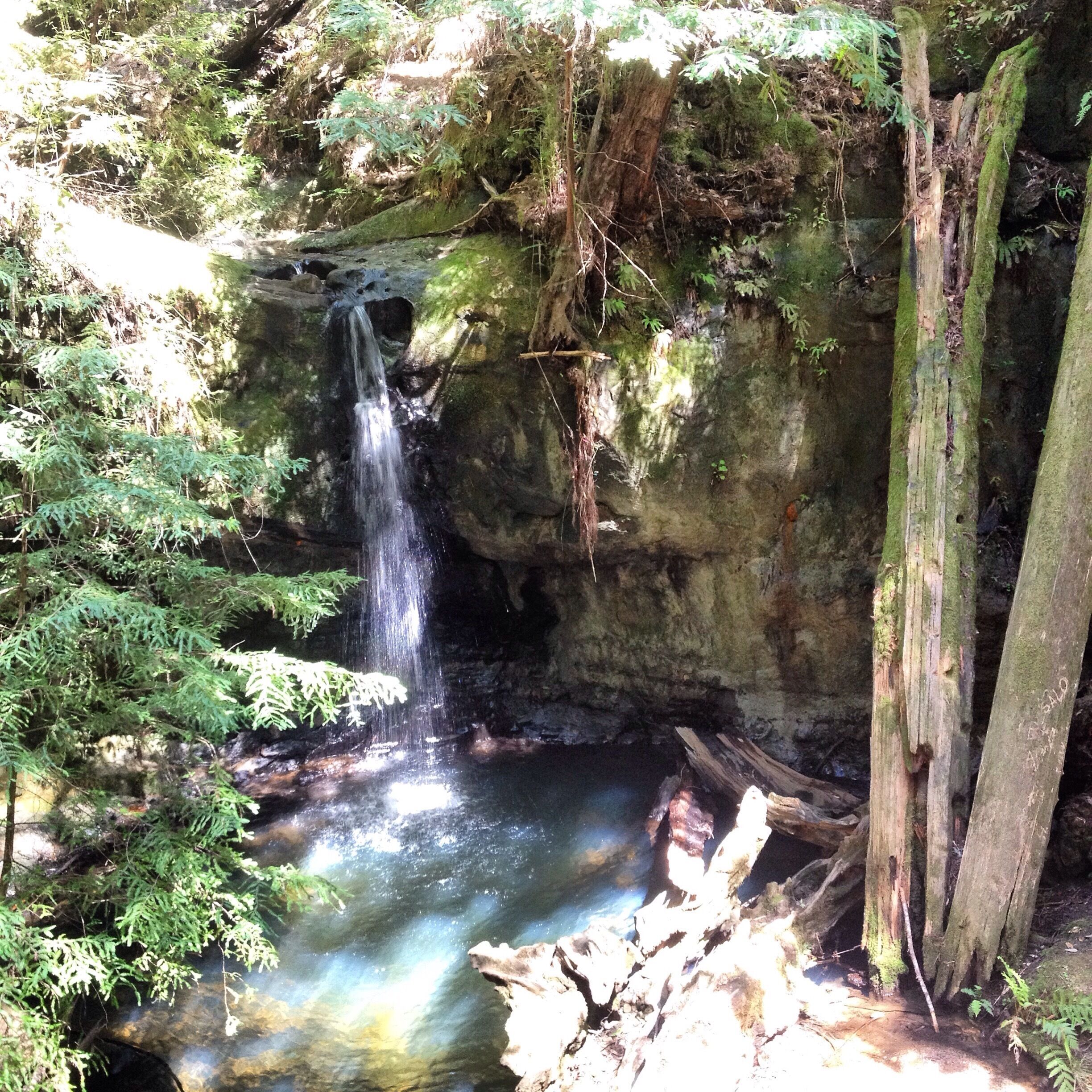 Sempervirens Falls