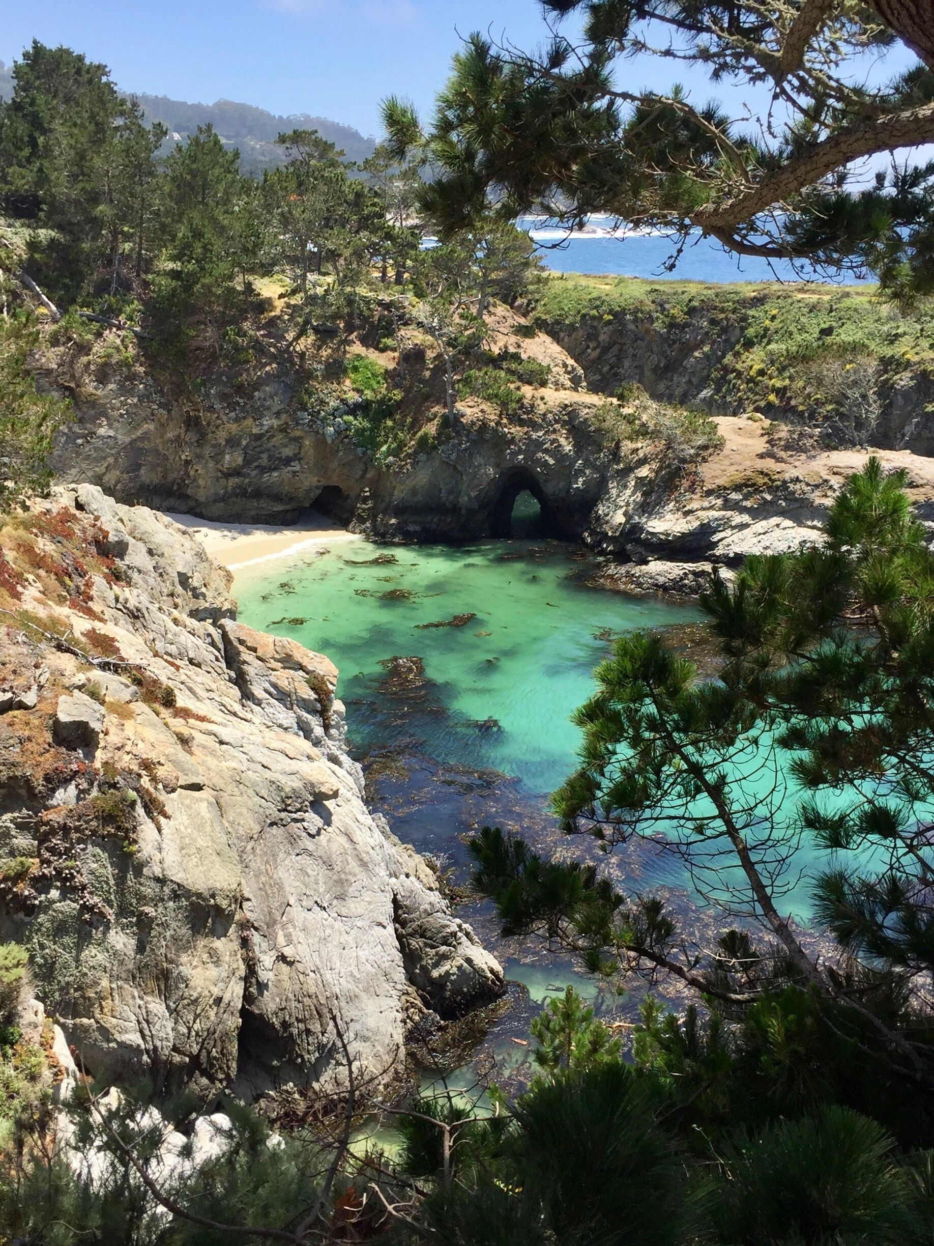 A view of China Cove in Point Lobos State Park. We have some wonderful parks in Califonia.