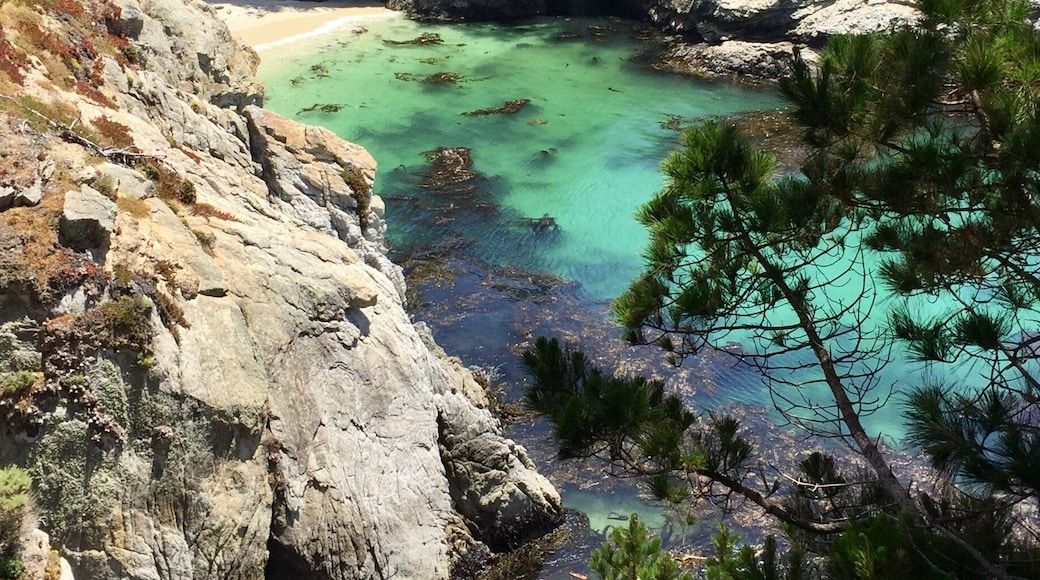 A view of China Cove in Point Lobos State Park. We have some wonderful parks in Califonia.