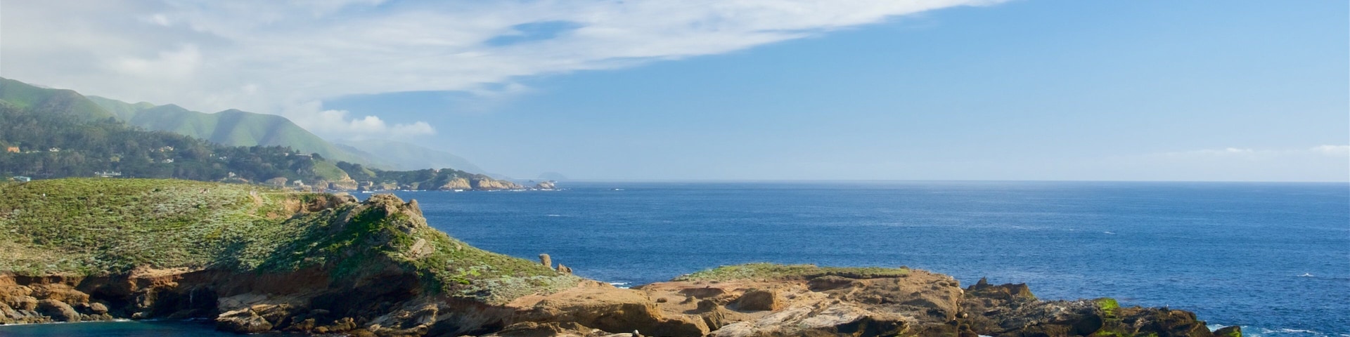 Réserve d\'état de Point Lobos mettant en vedette vues littorales et cÎte rocheuse