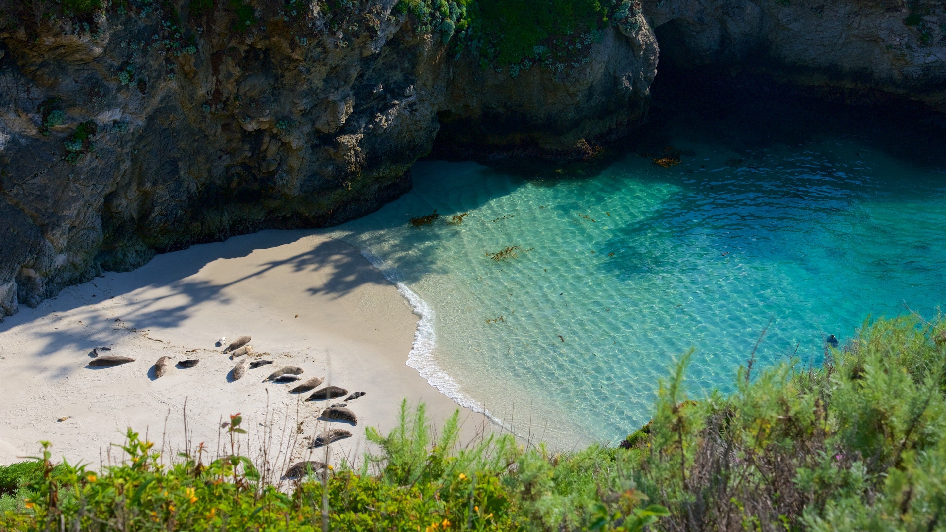 Una playa con agua turquesa cristalina, una orilla arenosa y un acantilado rocoso.