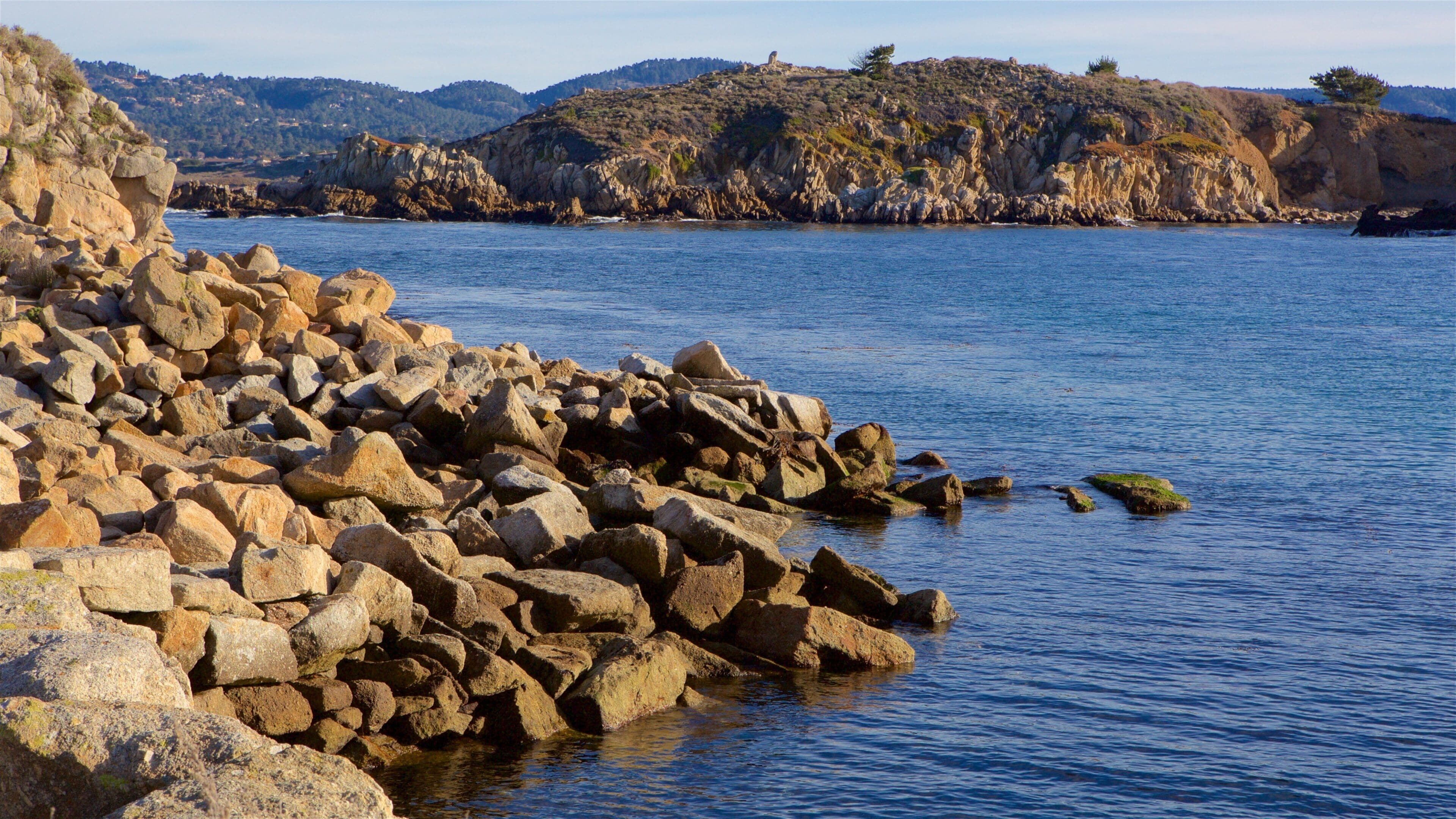 Point Lobos State Reserve which includes general coastal views and rugged coastline