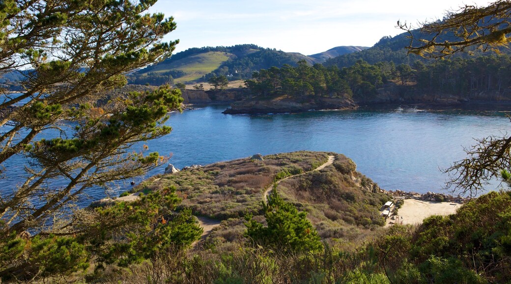 Point Lobos State Reserve which includes a lake or waterhole, landscape views and mountains
