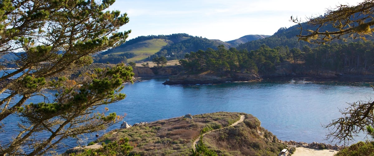 A coastal landscape with a winding path, dense greenery, and a calm body of water surrounded by hills.