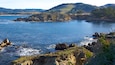 Point Lobos State Reserve showing landscape views, general coastal views and a bay or harbour