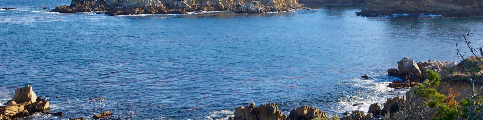 Point Lobos State Reserve showing a bay or harbour, general coastal views and landscape views