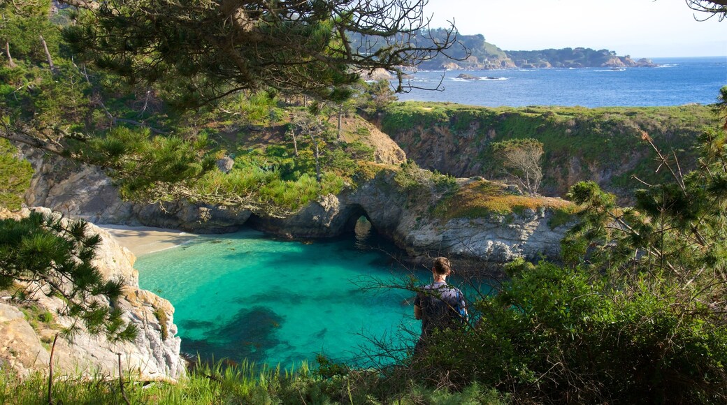Point Lobos State Reserve showing general coastal views and rocky coastline