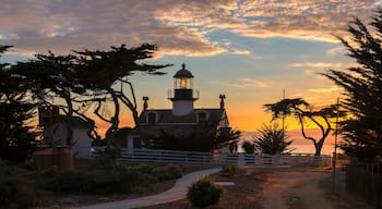 Cồn cát Asilomar