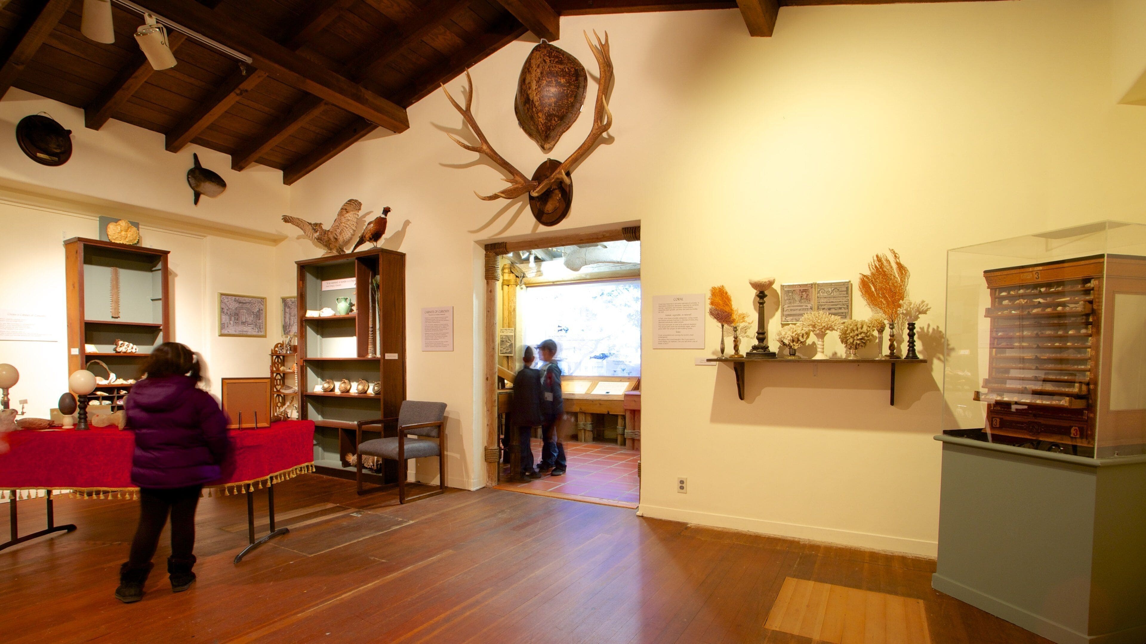 Pacific Grove Museum of Natural History
