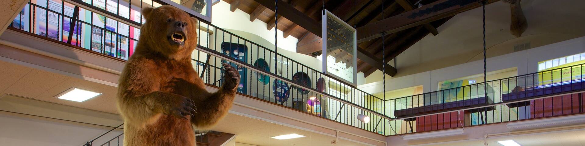 Pacific Grove Museum of Natural History mostrando vistas interiores
