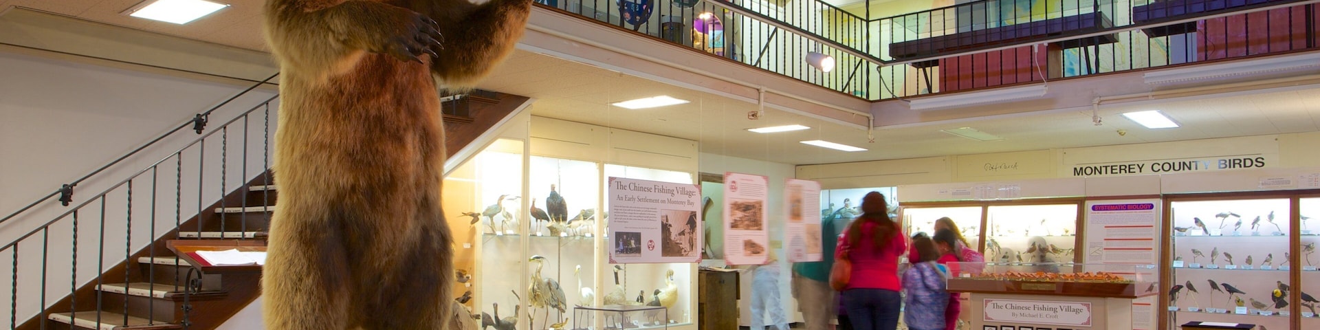 Museu Pacific Grove de História Natural que inclui vistas internas