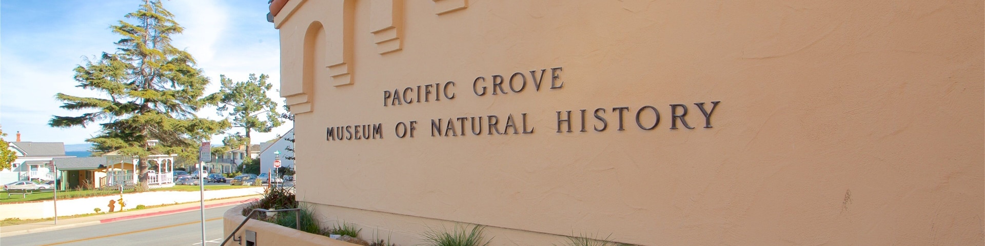 太平洋樹林自然歷史博物館 设有 指示牌