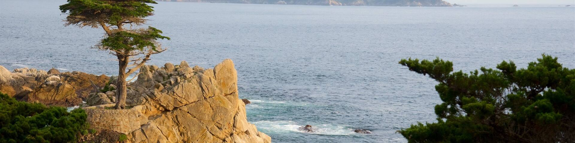 Paisaje costero con un acantilado rocoso destacado, un árbol solitario y el mar.