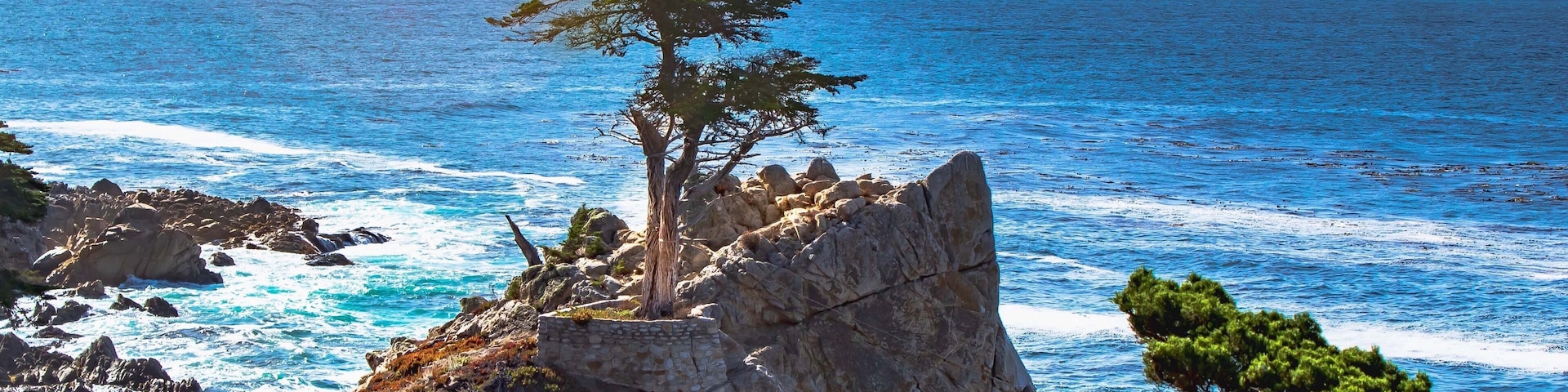 One of the most photographed trees, so I had to as well. #localsecrets