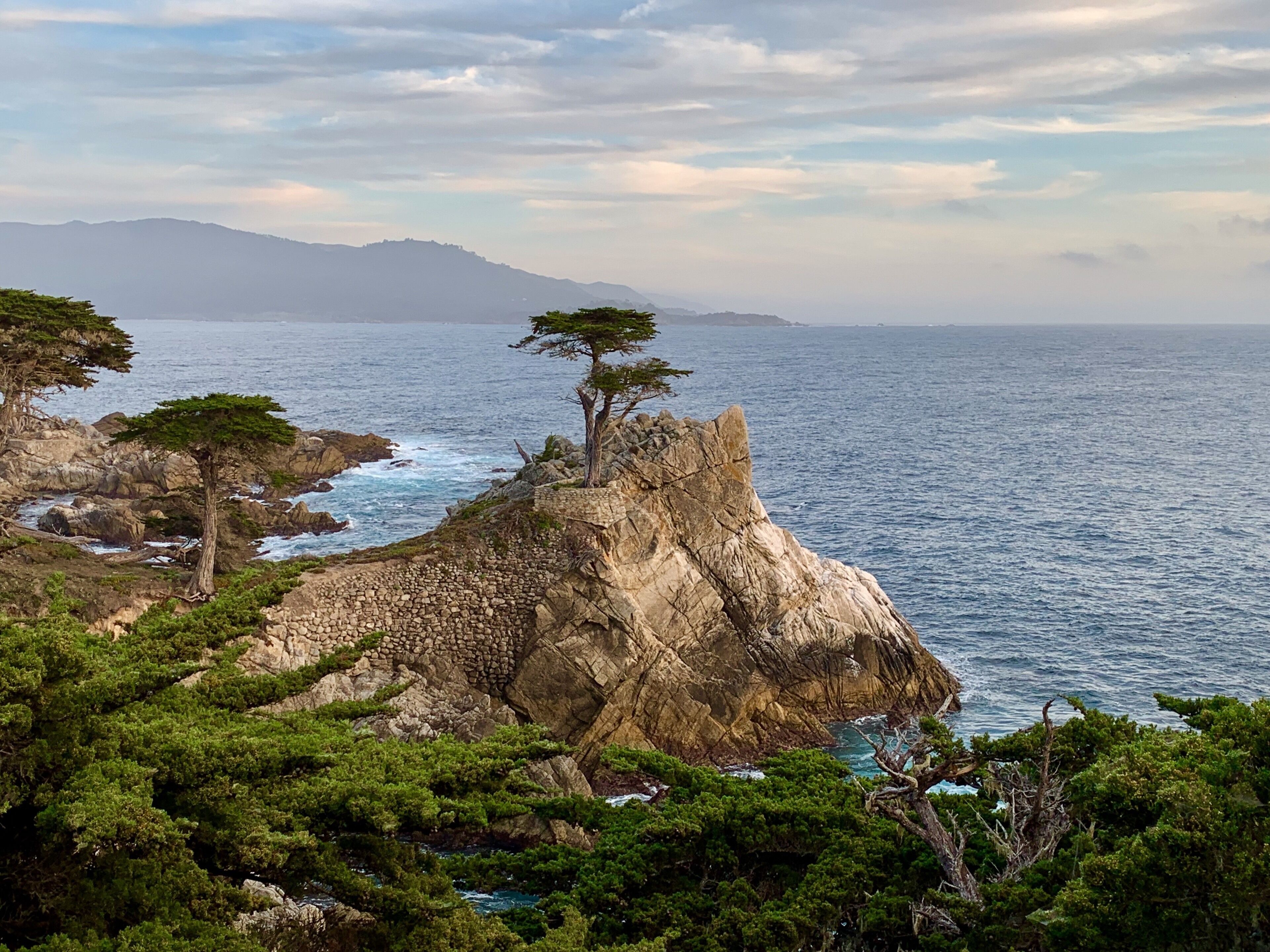 The iconic Lone Cypress on 17 Mile Drive, Pebble Beach.