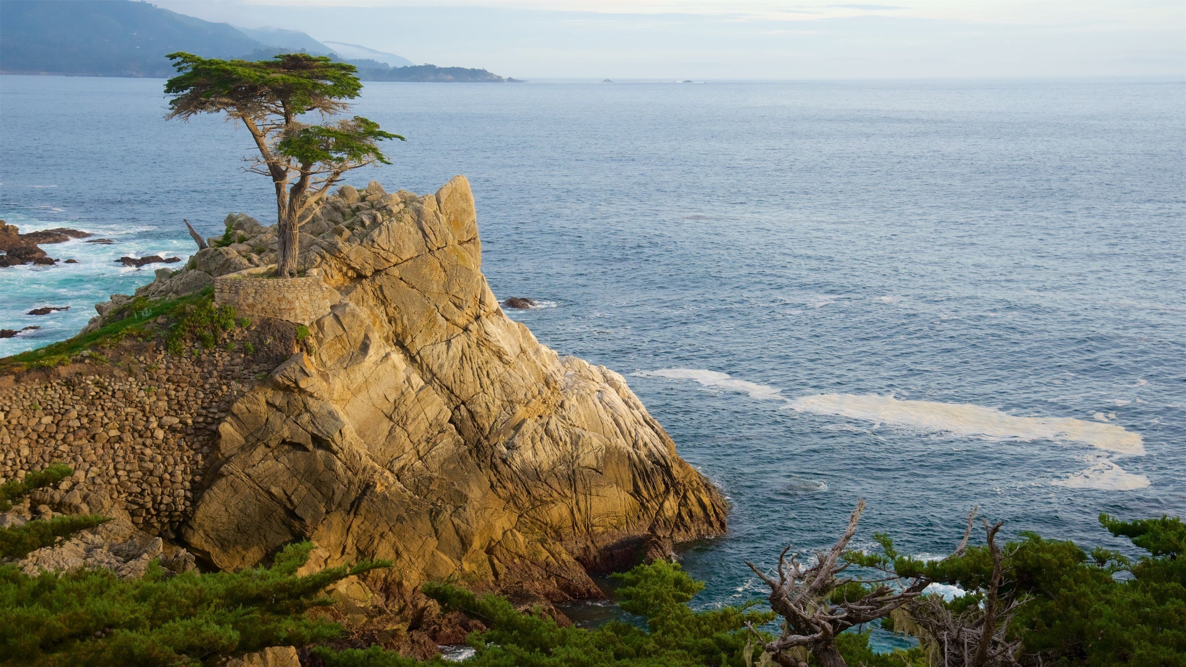 Lone Cypress Pine which includes rocky coastline