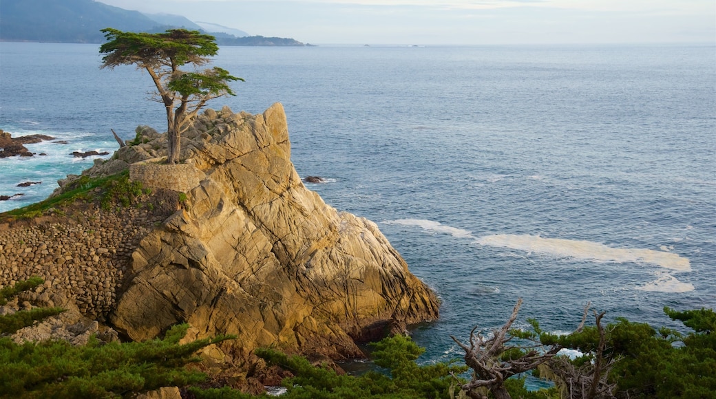 Lone Cypress Pine which includes rocky coastline