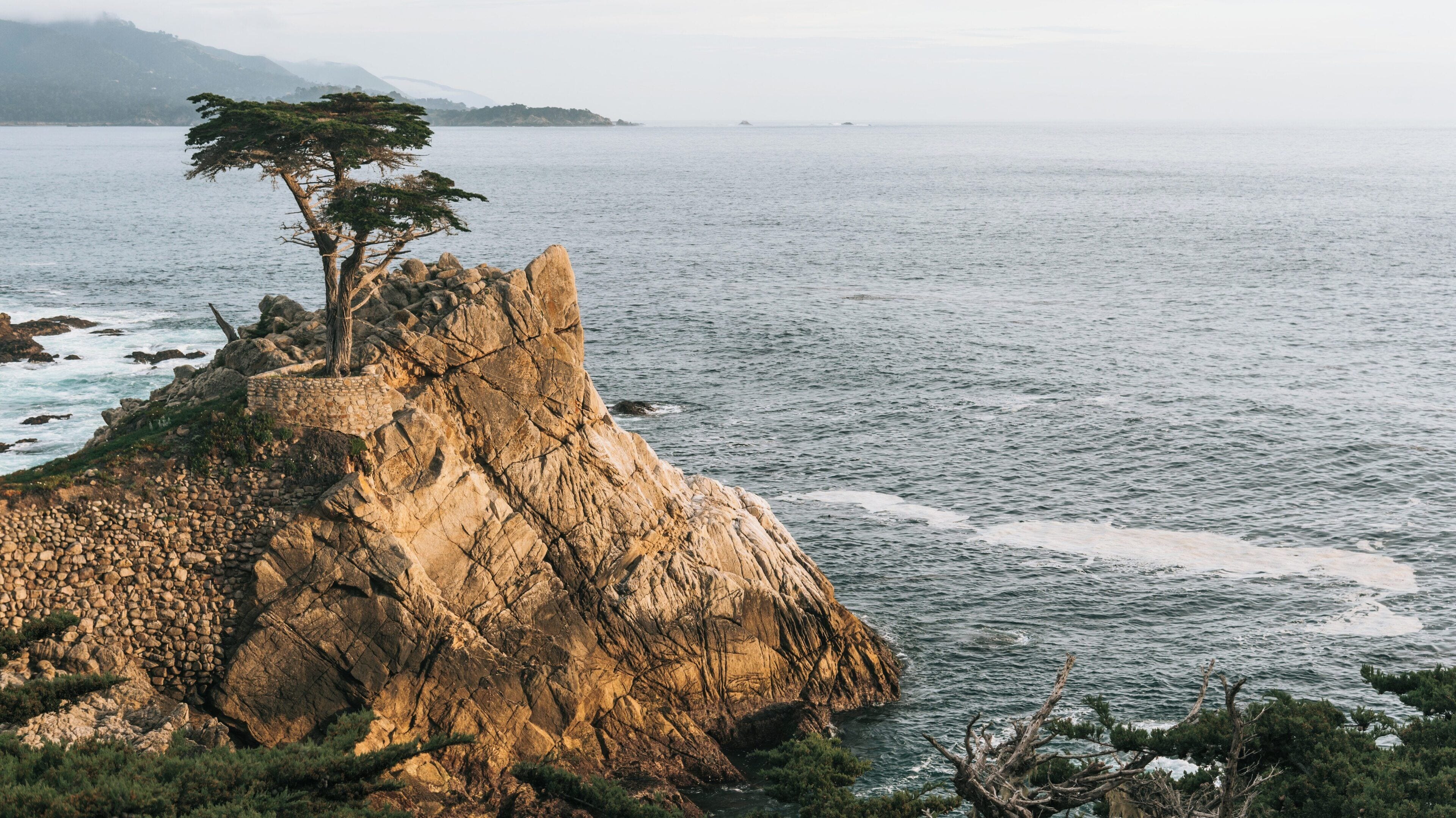 Lone Cypress Pine stands majestically on rocky outcrop overlooking the Pacific Ocean in Pacific Grove, California during a serene sunset