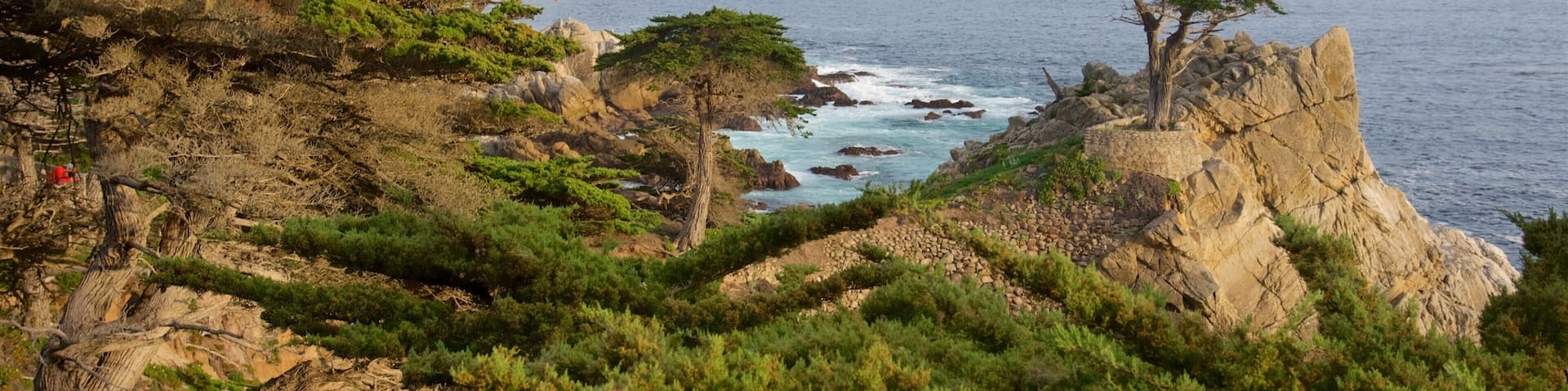 Lone Cypress Pine featuring tranquil scenes, general coastal views and rocky coastline