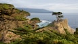 Lone Cypress Pine featuring tranquil scenes, general coastal views and rocky coastline