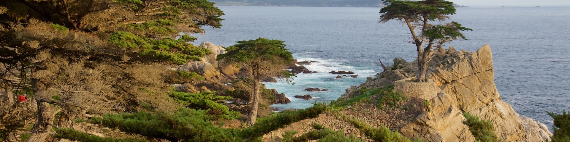 Lone Cypress Pine featuring tranquil scenes, general coastal views and rocky coastline