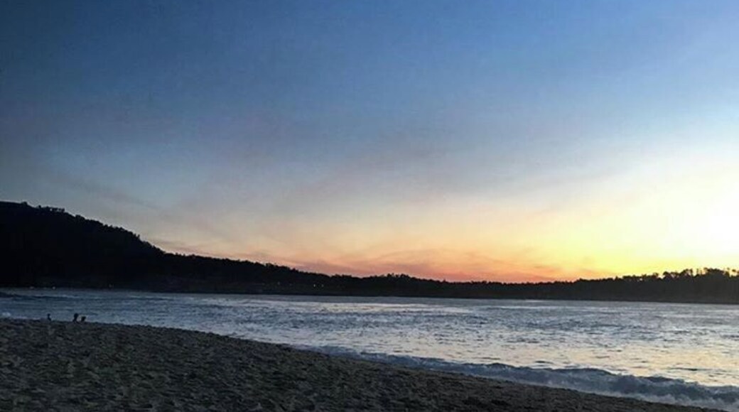 San Fran, you’ve been groovy, as always 🤘🏼Big Sur, if you look as sexy in the daytime as you look in the nighttime 🤣 I’ll come back and check you out again ✌🏼Until soon! #travel #yogi #photography #vibes #blessings #thankyou