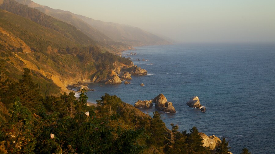 California (costa central)