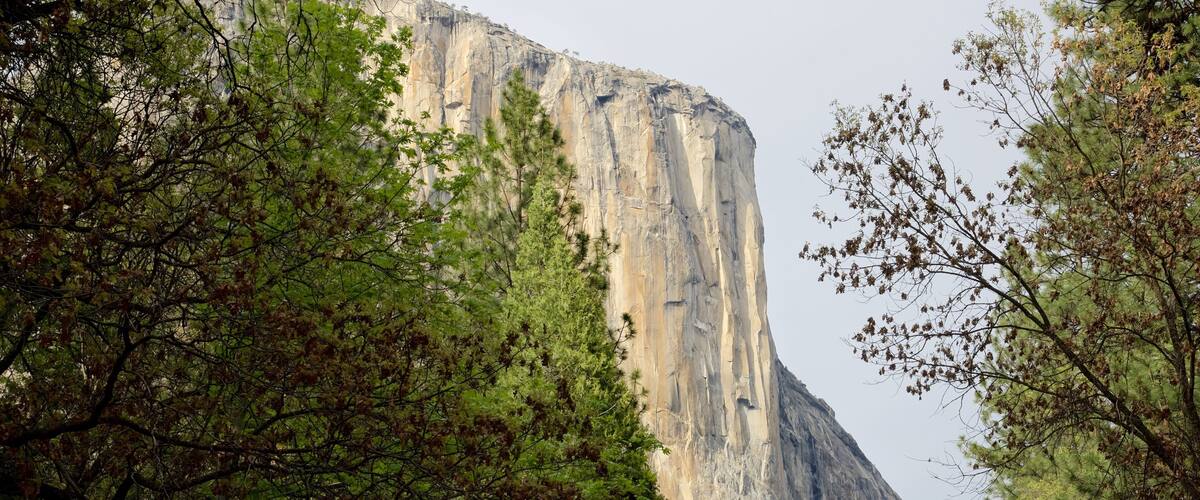 El Capitán mostrando un barranco o cañón y bosques