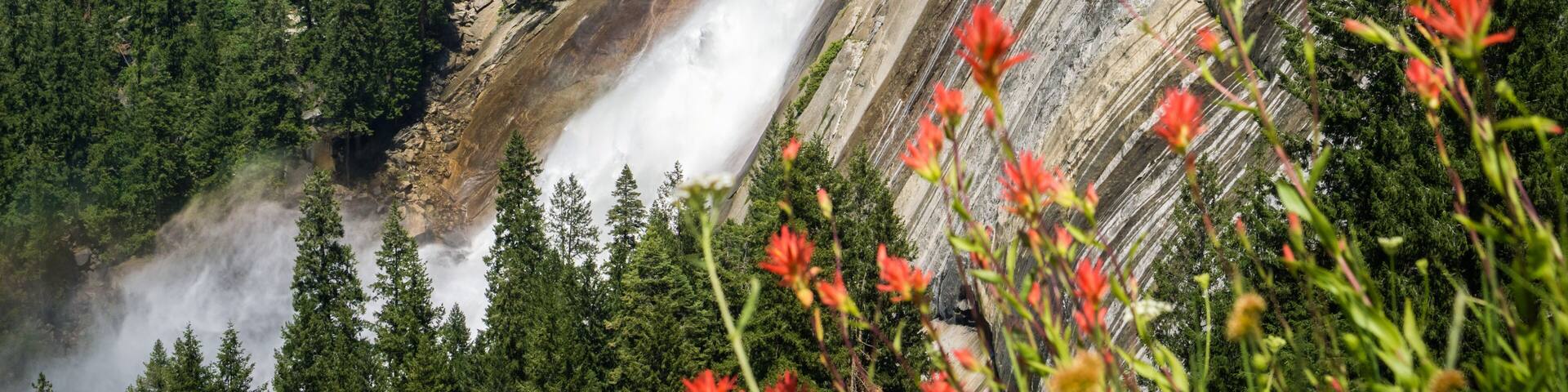 A waterfall cascading down a rocky cliff surrounded by dense forest and red flowers.