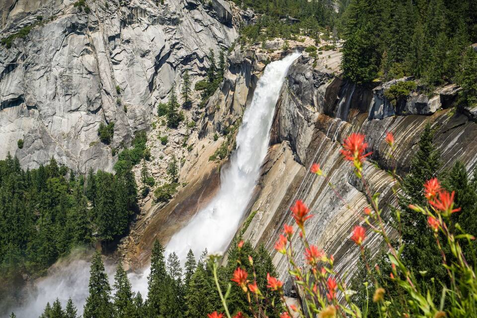 A waterfall cascading down a rocky cliff surrounded by dense forest and red flowers.