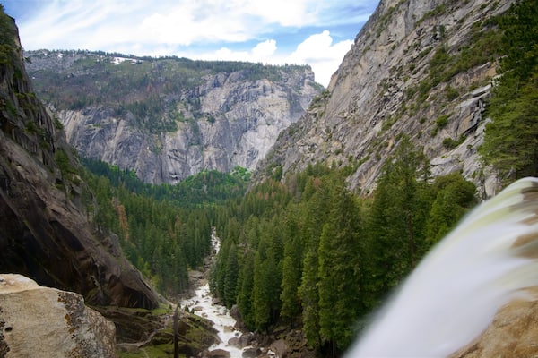 Vernal Falls featuring mountains, forests and a cascade
