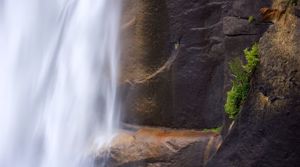 Vernal Falls which includes a waterfall