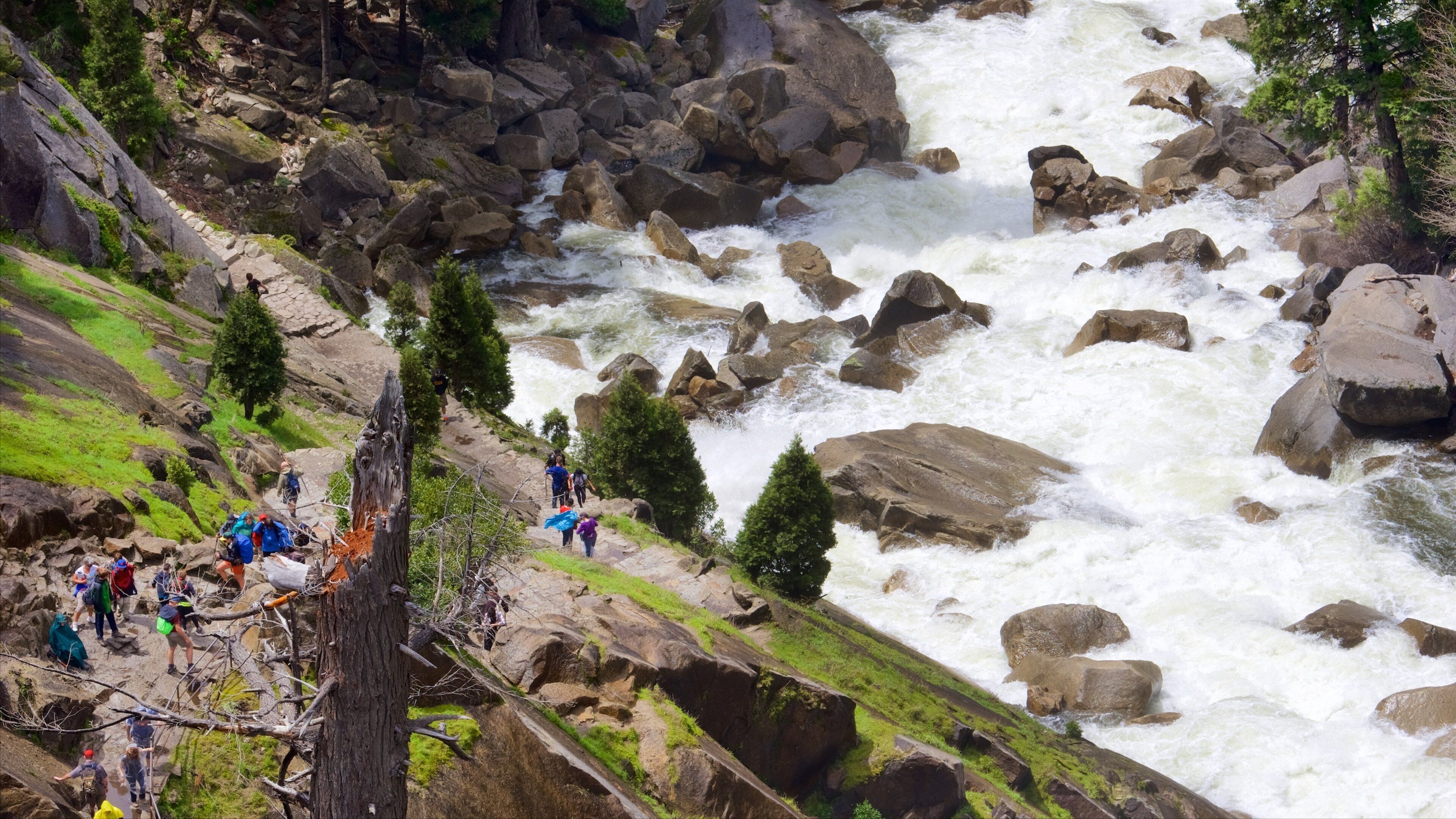 Vernal Falls showing rapids and tranquil scenes