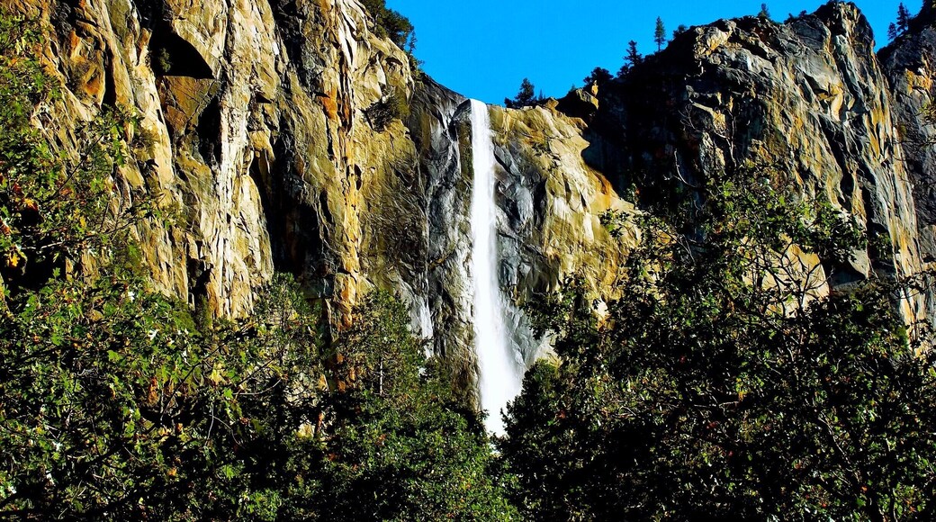 My bucket list is to visit all 59 US National Parks. So far, we've gotten to explore over 30...here's one of them.
Yosemite is one of the most visited National Parks so if you plan on camping... plan ahead. This is Yosemite Falls, the largest waterfall in the United States.